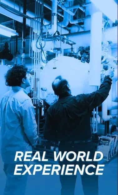 Real World Experience