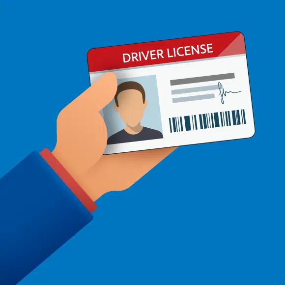 Driver License Image